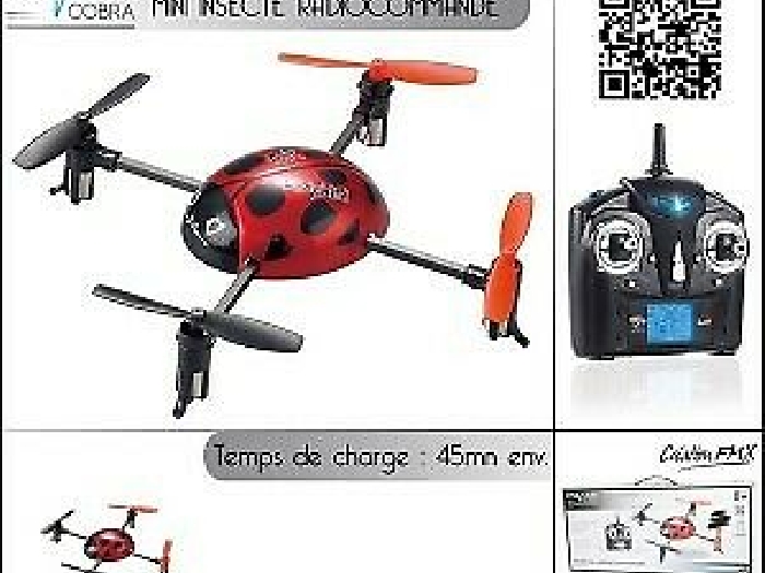 Drone insecte 4 canaux